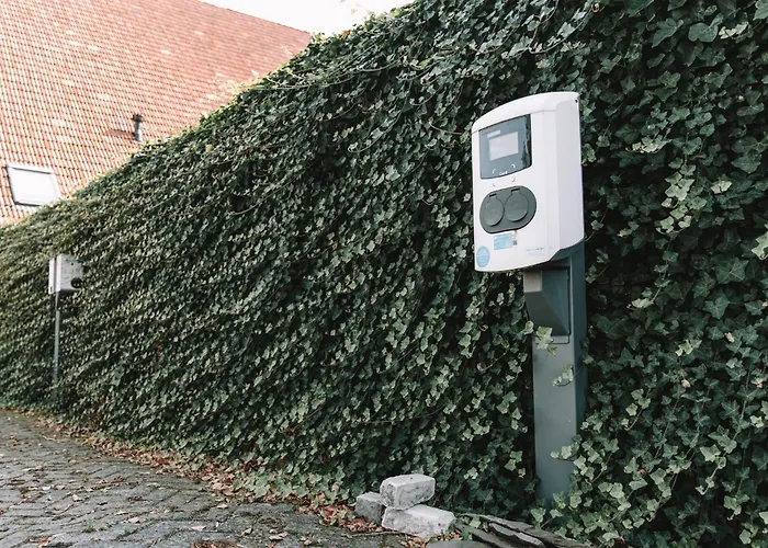 Harlingen Staete